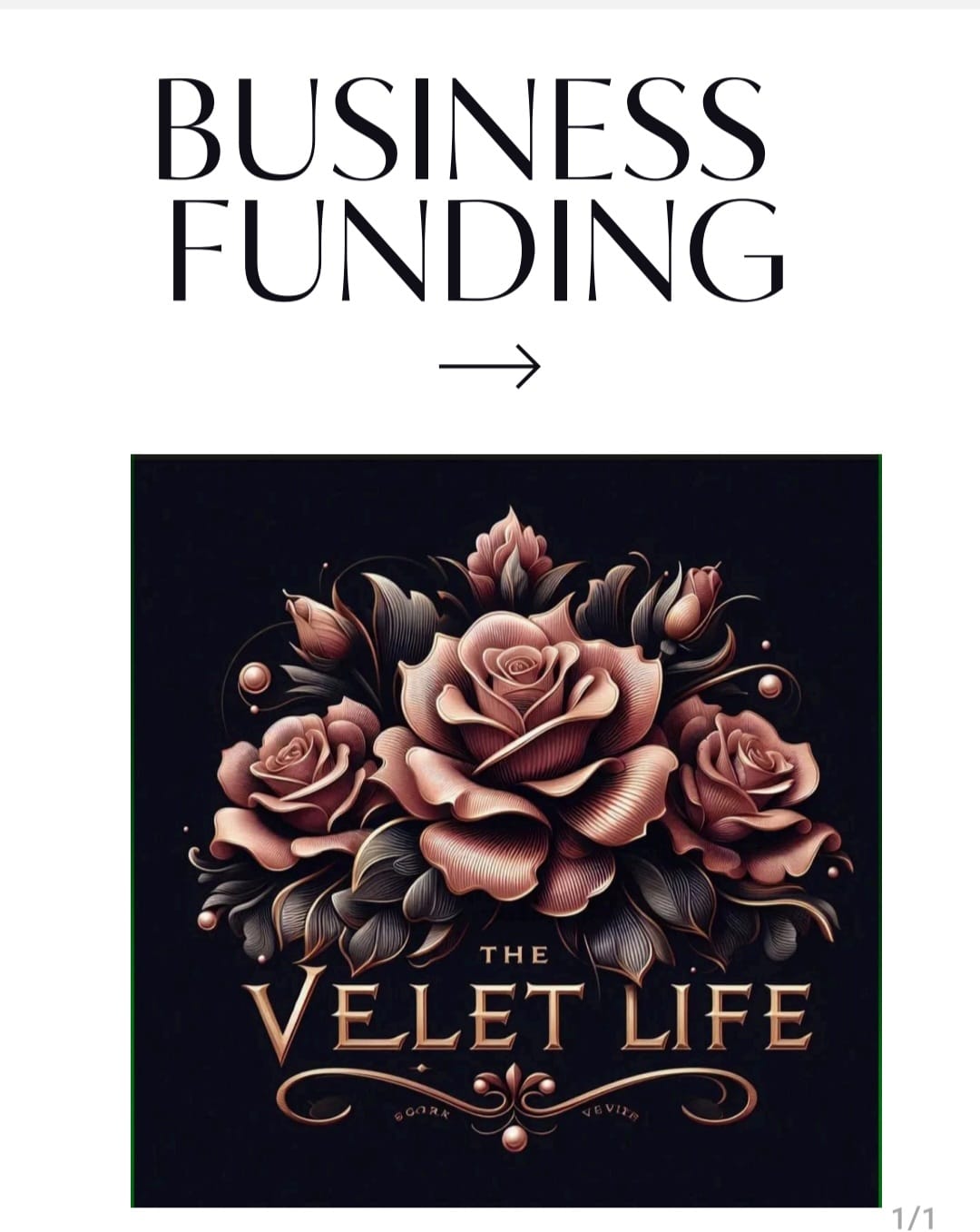 BUSINESS FUNDING BEGINNERS GUIDE
